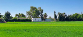 La Caseta Dels Avis